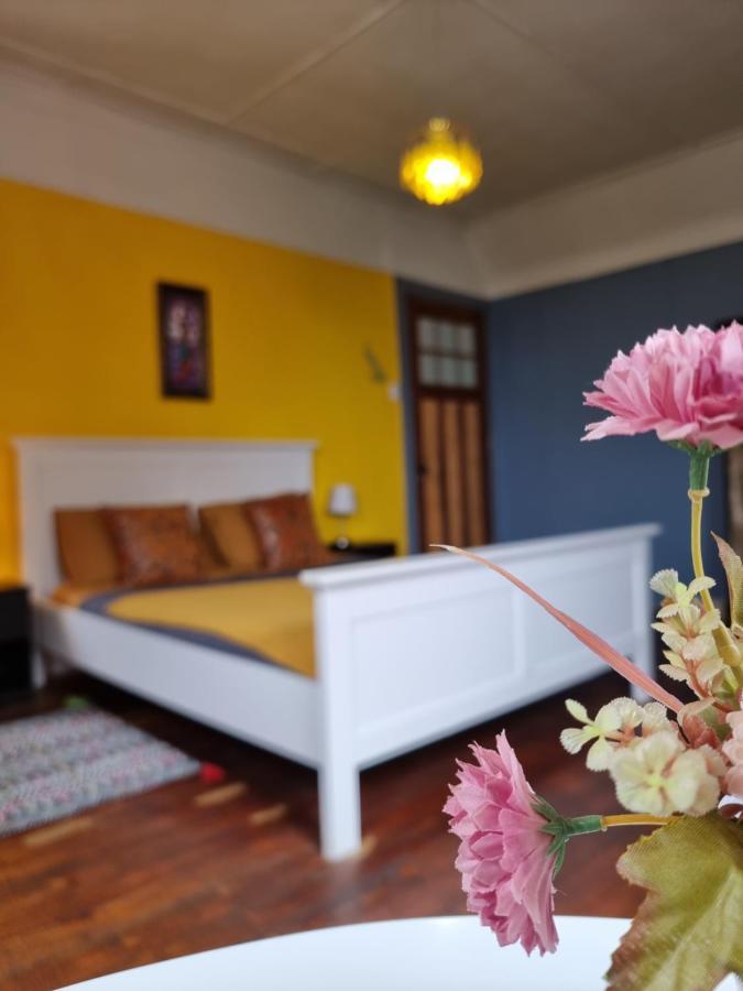 Meraki Hostel - Cerro Alegre - Valparaíso Eksteriør billede